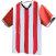 Team Icon